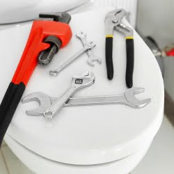 Installation du nouvel abattant wc