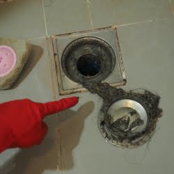 Retrait de la grille de douche